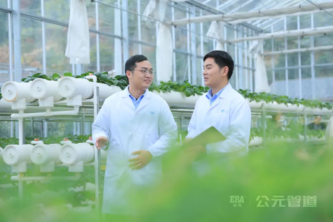 摇钱树娱乐(中国区)有限公司官网